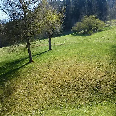 Studio Le Pleney * Morzine